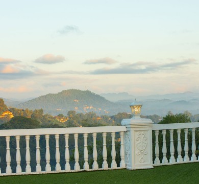 gallery-image-3
