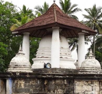 gallery-image-1
