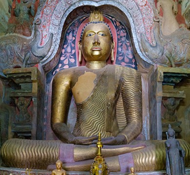 gallery-image-4