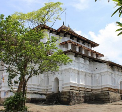 gallery-image-1