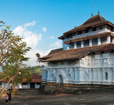 gallery-image-2