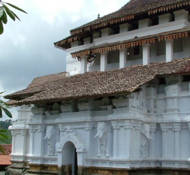 gallery-image-3