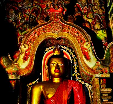 gallery-image-4