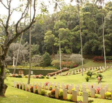 gallery-image-2