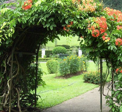 gallery-image-1
