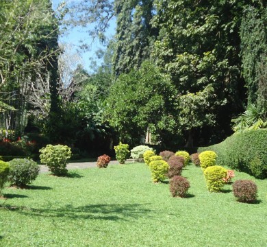 gallery-image-3