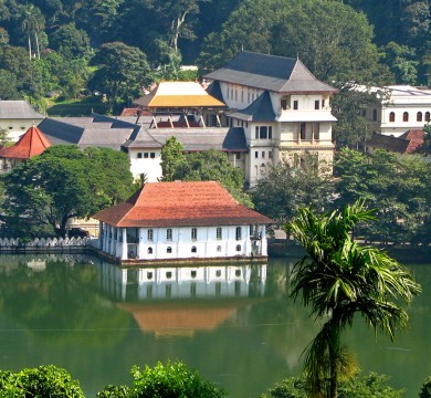 gallery-image-2